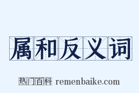 属和反义词是什么意思的图片